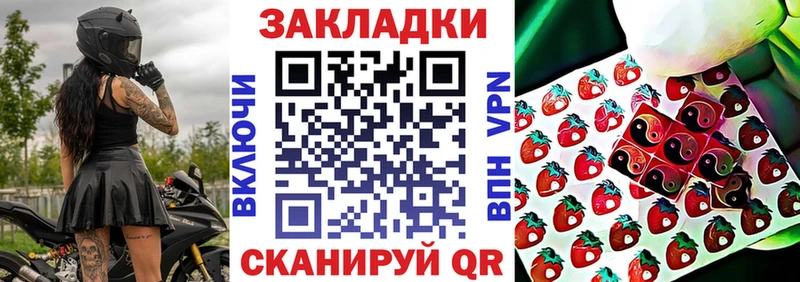 Виды наркотиков купить Михайловка СК  Гашиш  Псилоцибиновые грибы  КОКАИН 