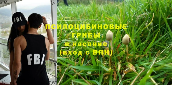 прущие грибы Баксан