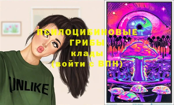 гашик Балабаново