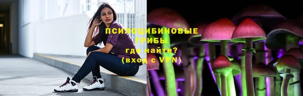 спиды Арсеньев