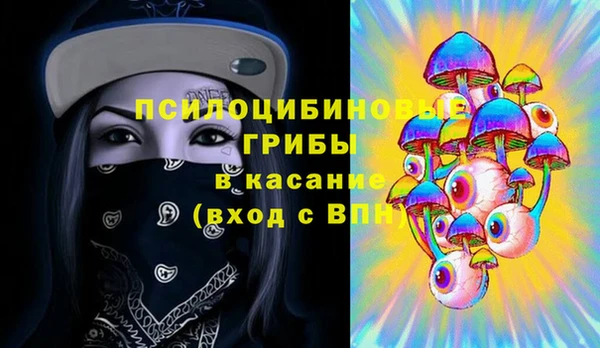 спиды Арсеньев