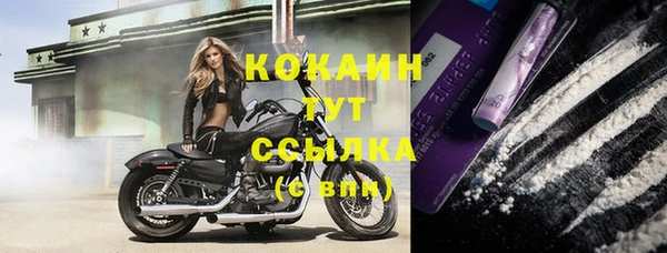 прущие грибы Баксан